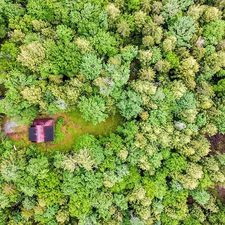 Lost Pond Cabin Schroon Lake 외부 사진